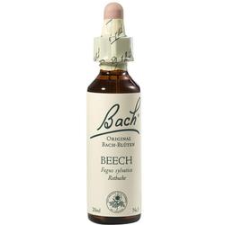 Braune Flasche mit Bach-Blüten-Essenz aus Buchenbaum.