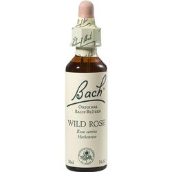 Eine Flasche Bach-Blüten-Essenz mit der Aufschrift "Wild Rose".