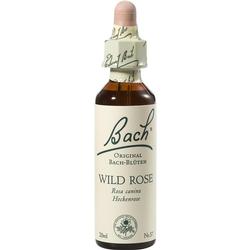 BACH BLUETE WILD ROSE